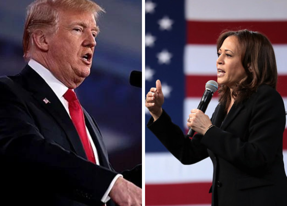 August 2024 Omnibus: Harris Leads Trump by +5 Nationally